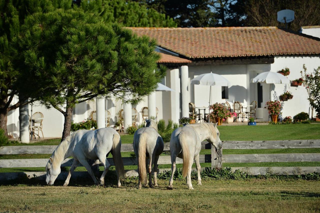 Mas De La Grenouillere Hotel Et Centre Equestre En Pleine Nature Saintes-Maries-de-la-Mer Luaran gambar
